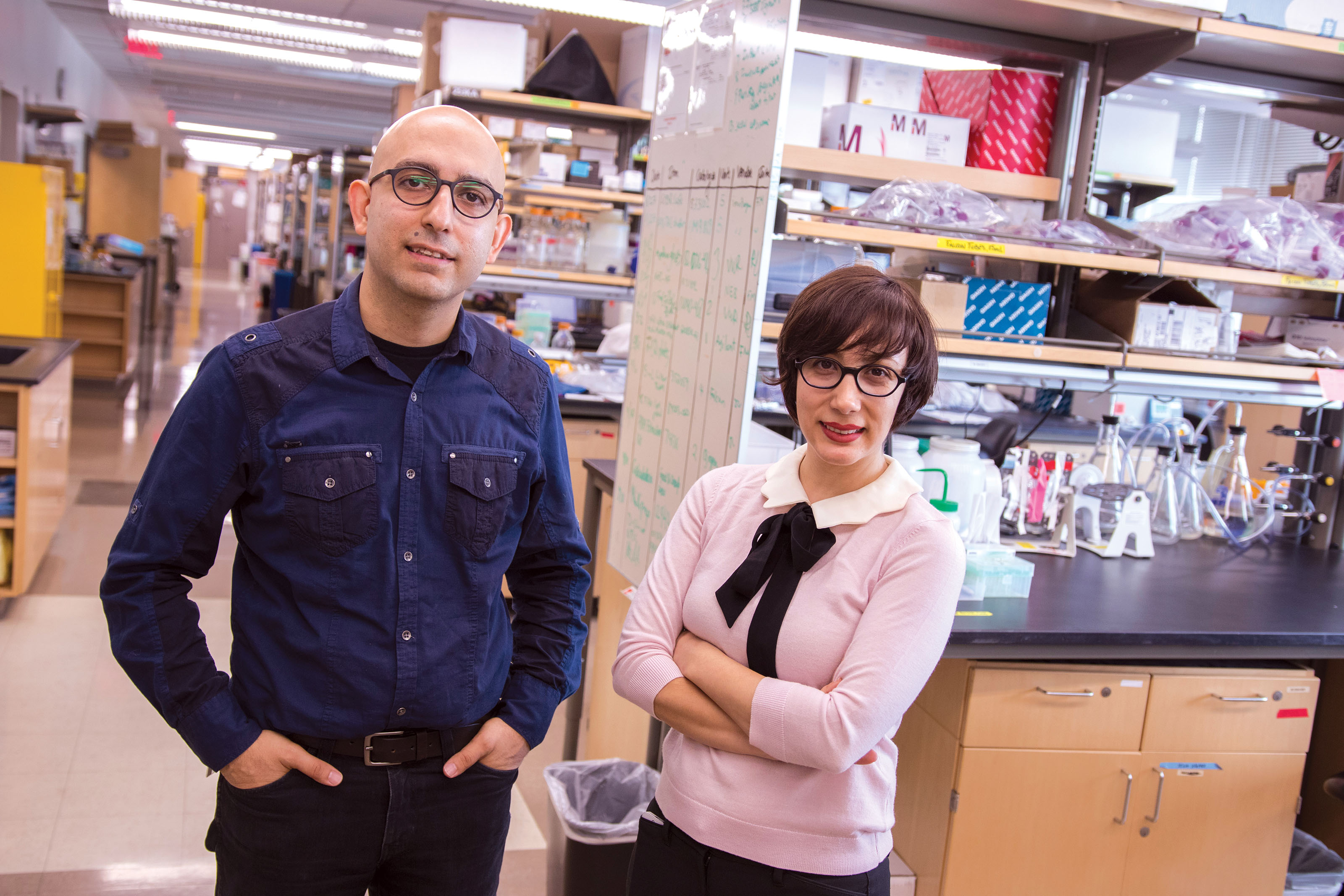 Samira Kiani and Mo Ebrahimkhani, both in the School of Biological and Health Systems Engineering, are combining their expertise in CRISPR technology.