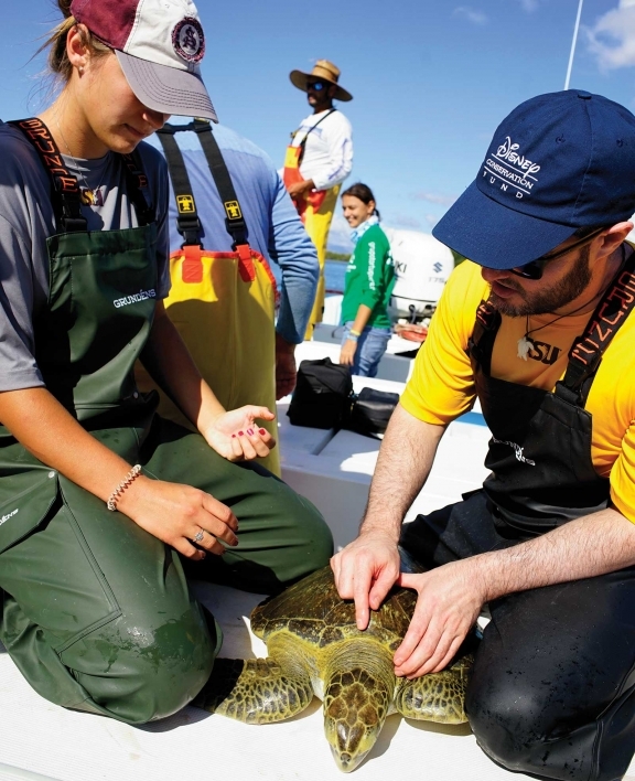 Senko shows PhD student Janie Reavis how to measure a sea turtle’s shell