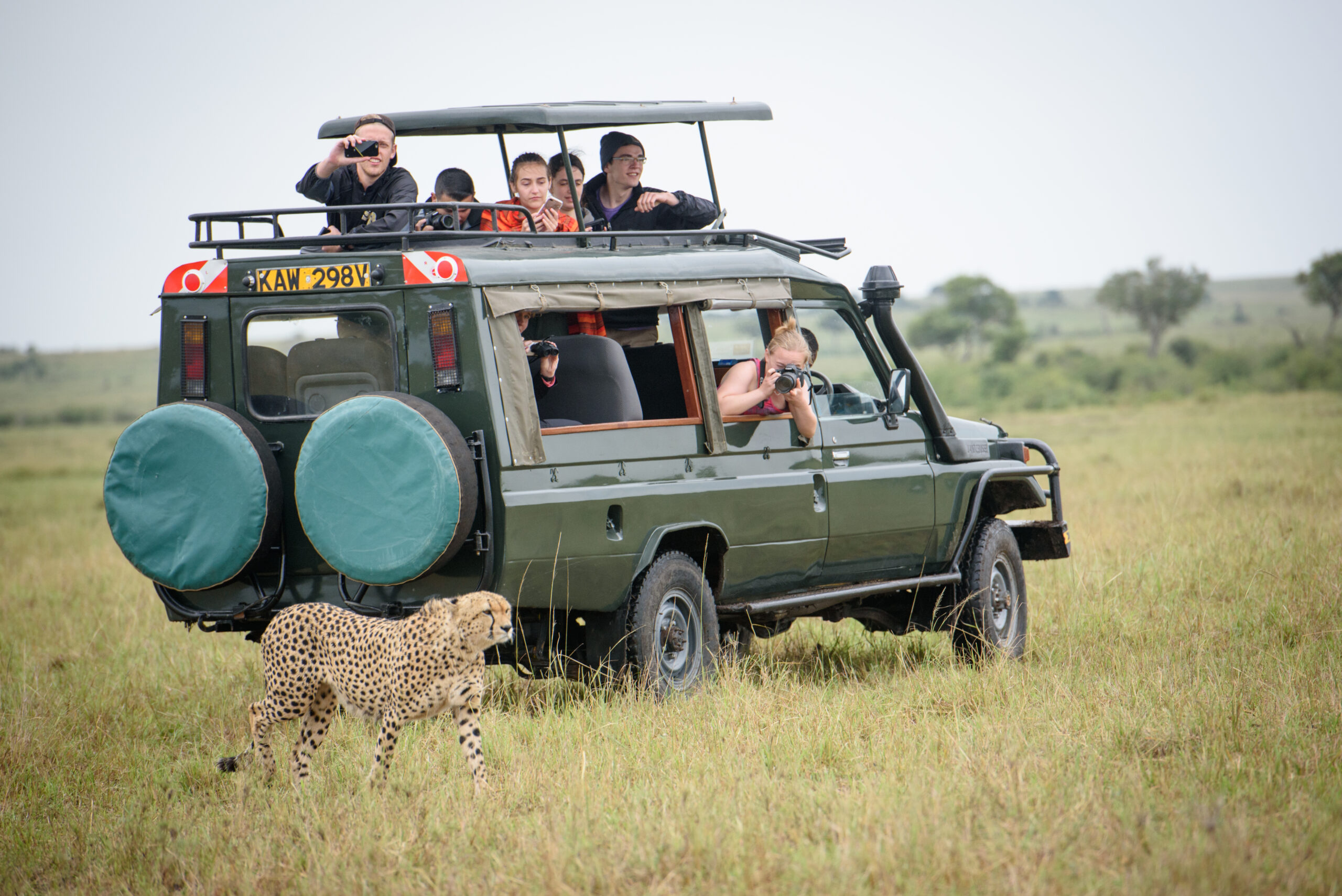 Kelly Anderson in safari vehicle photographing a cheetah