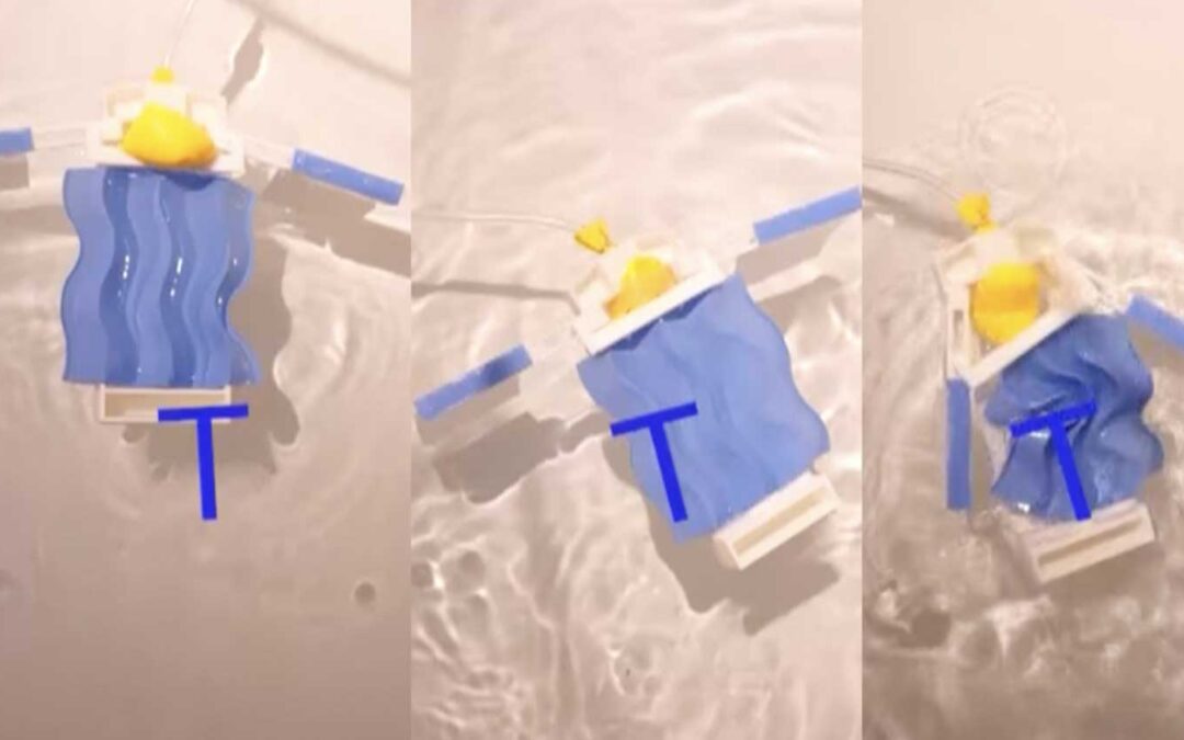 Curved origami provides new range of stiffness-to-flexibility in robots