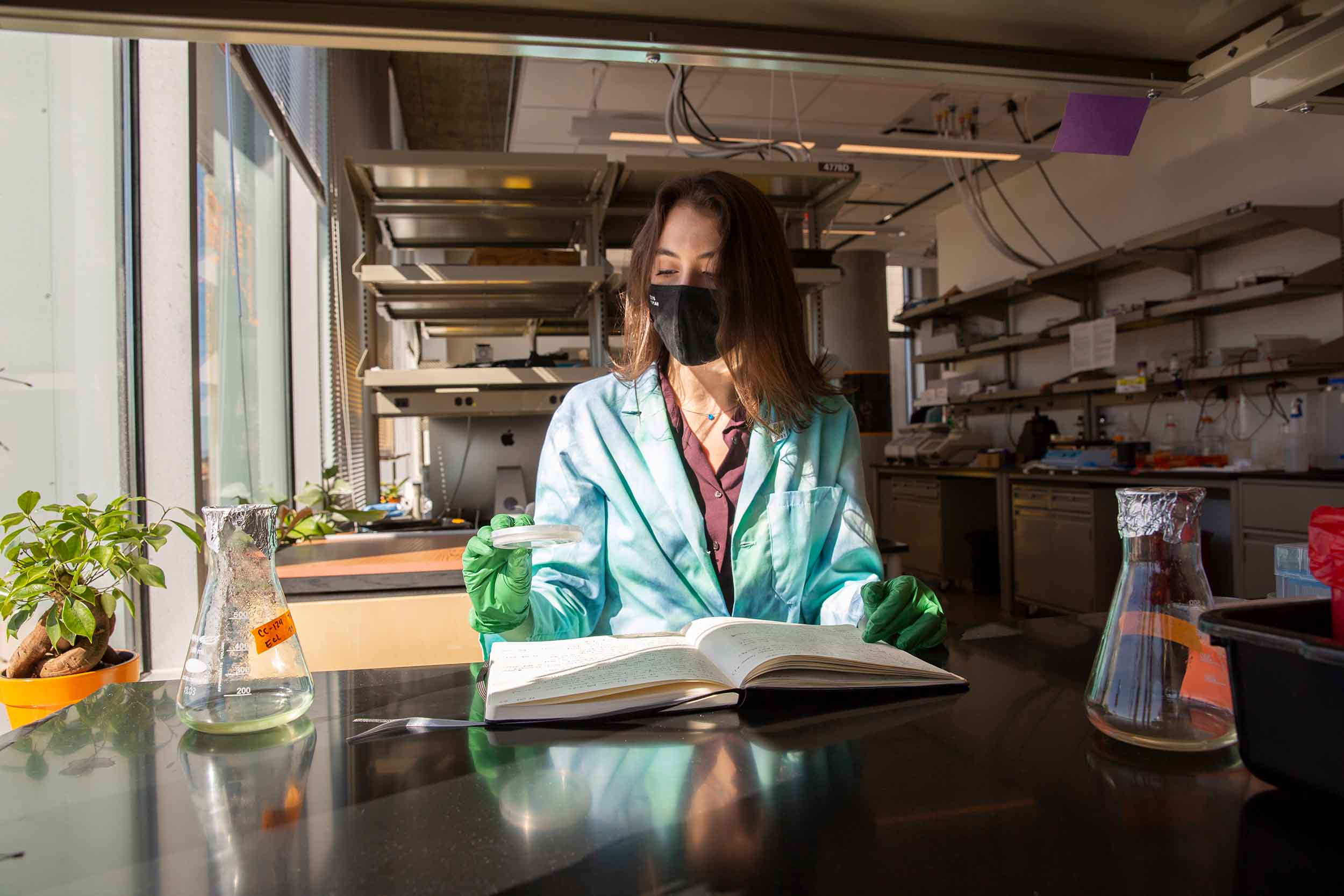 Emma Lieberman sits at a lab table studying the contents of a petri dish