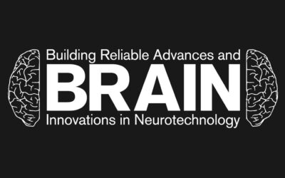 Building Reliable Advances and Innovation in Neurotechnology