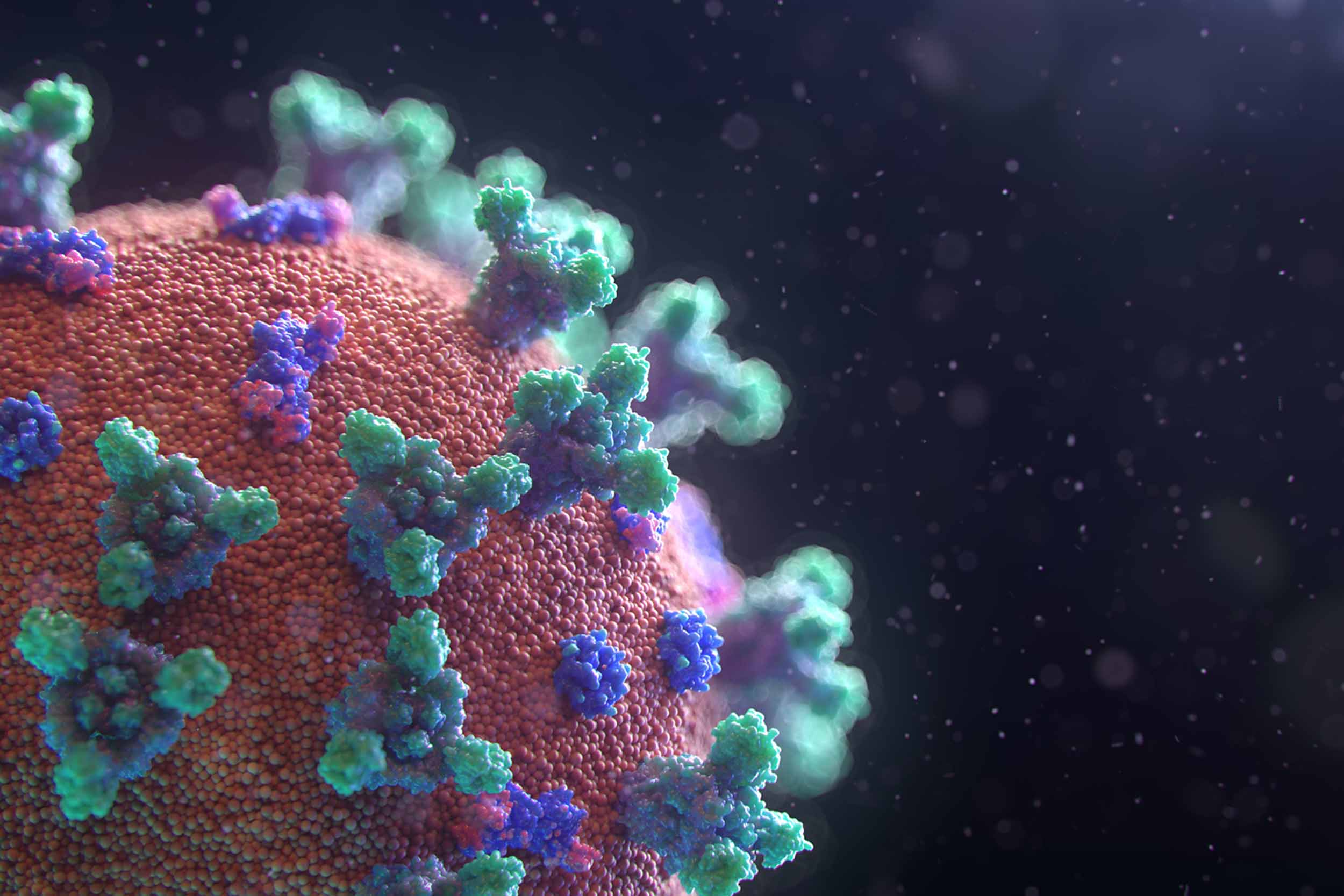 Colorful close up of an artist's rendering of a COVID-type virus