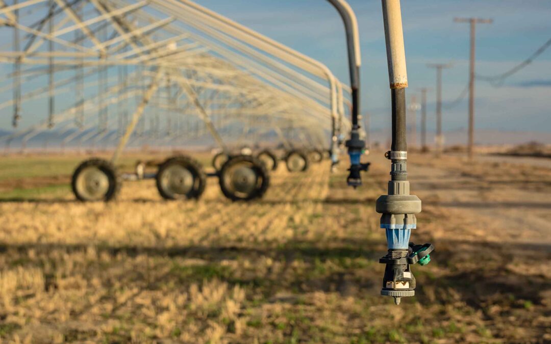 Monitoring Arizona’s drought impact