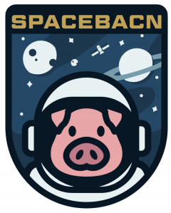 A comical, cartoonish badge of a pig astronaut in space with the name 