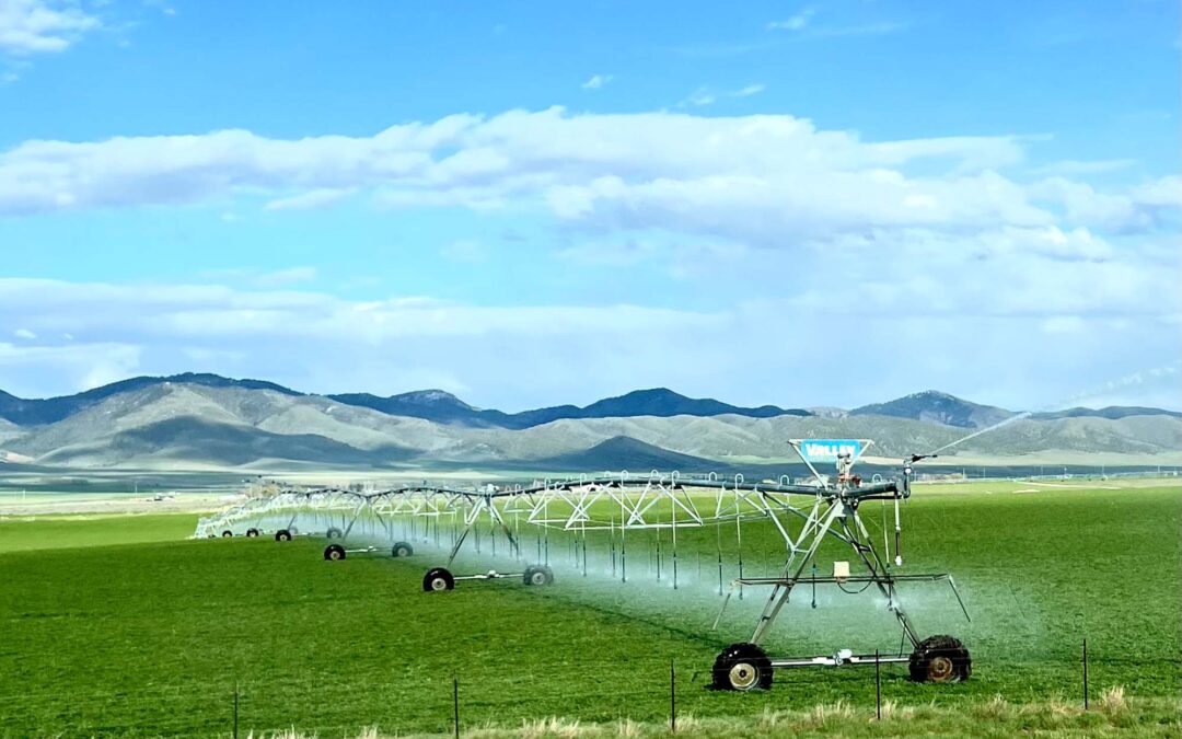 Tracking water’s footprint in agriculture