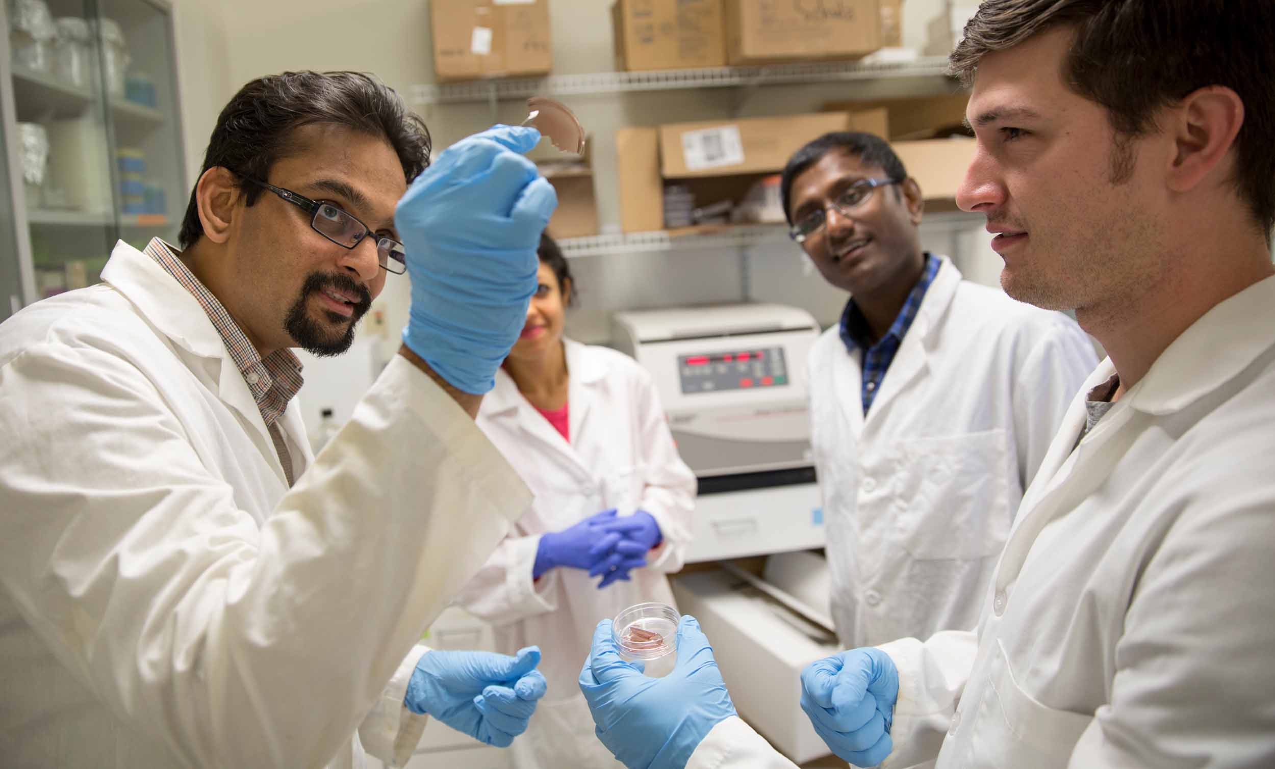 Kaushal Rege works with lab members and is shown holding up a translucent object with a pair of tweezers, part of his work on repairing wounds with gold silk and lasers