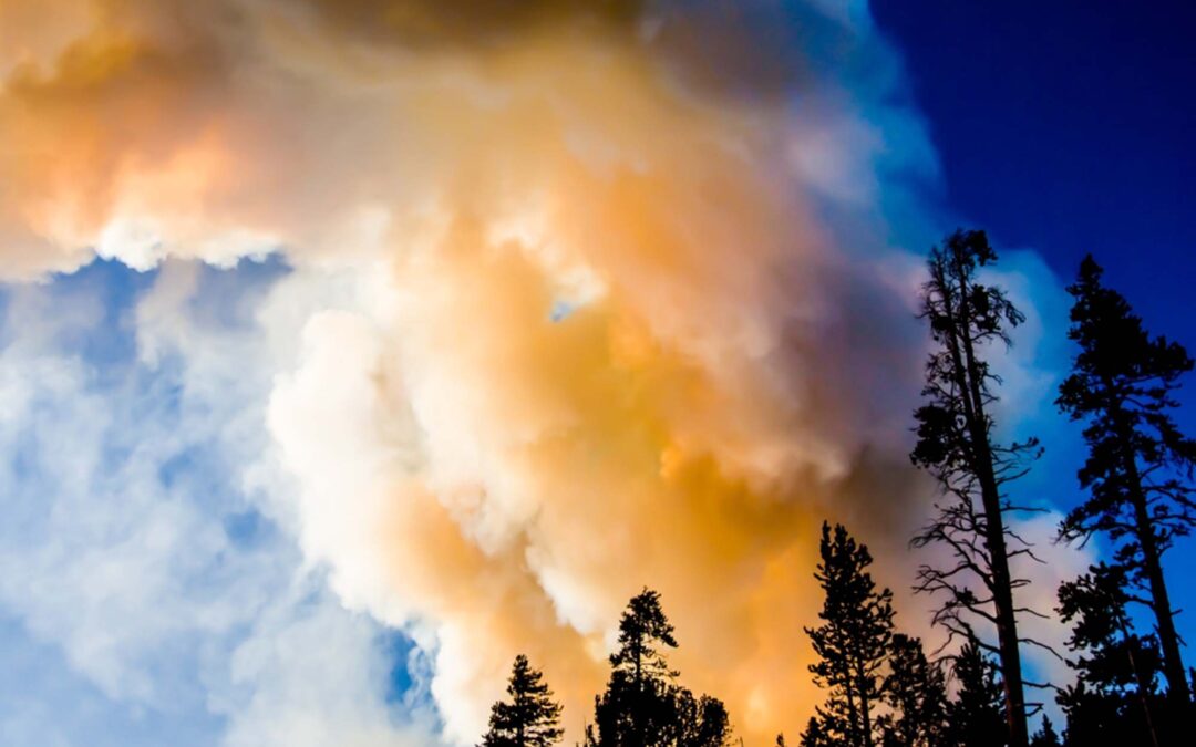 ASU team awarded $1.9M EPA grant to support Arizona wildfire preparedness
